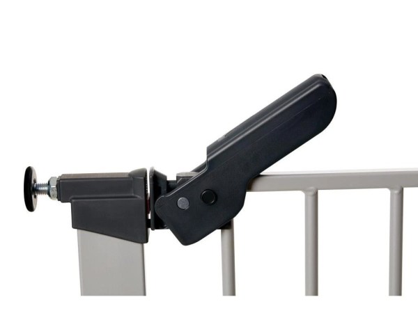 18752-6_70117-d1--300-asta-stribrna