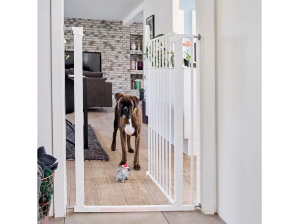 28489-7_otvorova-zabrana-pro-psy